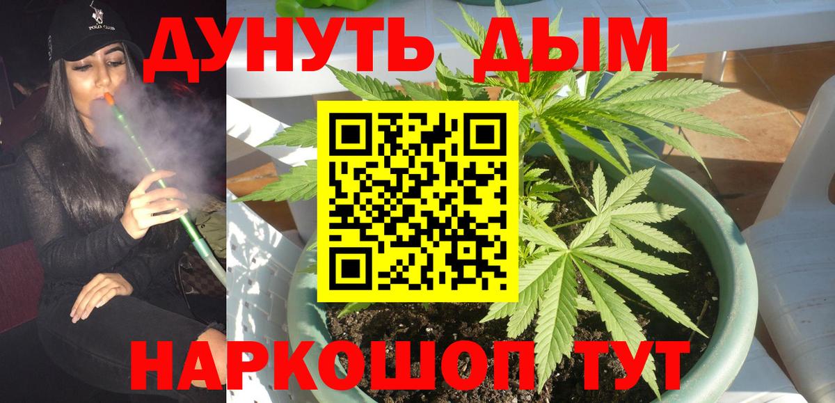 Каннабис Ganja  МАРИХУАНА план  Вход с VPN  Кашира 